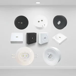 CE Certified Indoor IP20 Modern LED Emergency Downlight with Lithium Battery 3H Backup Self contained Non Maintained Operation