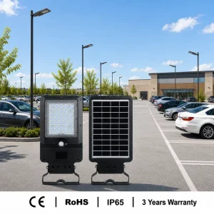 CE RoHs LED Solar Street Light Long Lifespan with PIR Motion Sensor Optional CCT IP65 Waterproof for Outdoor Parking Lighting