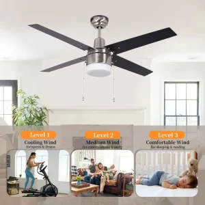 Ceiling Fan Lamp