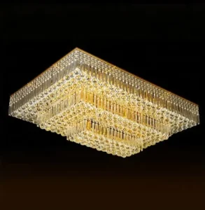 Ceiling LED Indoor Ceiling Light
