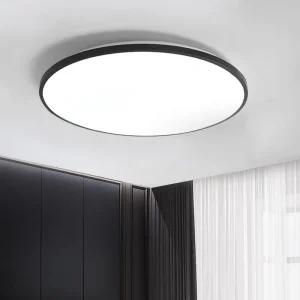 Ceiling LED Lights for Home Bedroom Hallway Use Fixtures LED Lamp Ceiling Light