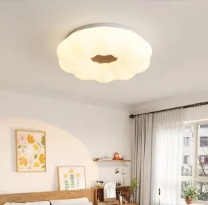 Ceiling Lights for Living Room