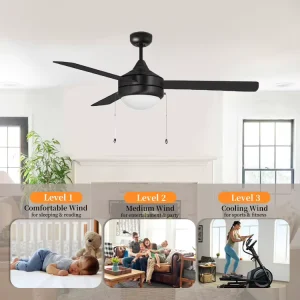 China Manufacturer Remote Control AC Modern Black Color Chandelier Ceiling Fan
