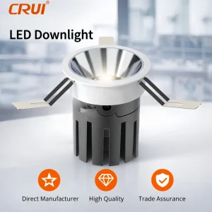 Commercial 12W Smart Recessed Ceiling Downlight Die-cast Aluminum Housing Ceiling Downlight for Hotel Office Project