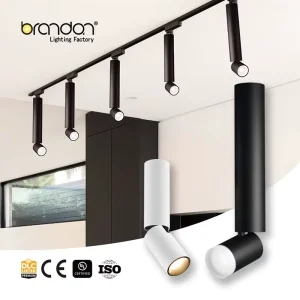 Commercial Ceiling 12W Adjustable 15/24/36/55 Degres CCT COB Downlighting Cylinders LED Track Spot Light for Mart Counter