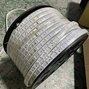 Commercial Christmas Lighting 60leds m 120leds m SMD 5050 2835 Strip Light RGB 2700K Waterproof Led Light Strip