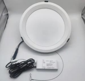 Commercial Indoor Use Aluminium LED Flat Round Panel Lamp Easy Installation 3000K 5000K Modern 1ft Big Ceiling Down Light