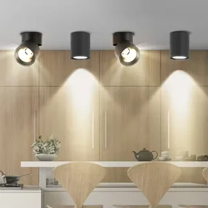 Commercial LED Downlight for Hotel Lighting Plant Production Design Surface Mounted Spotlight for Living Room