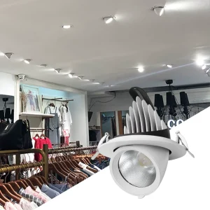 Commercial LED Elephant Trunk Spotlight Adjustable 12W 36W COB Downlight Recessed Ceiling Light for Hotel Mall