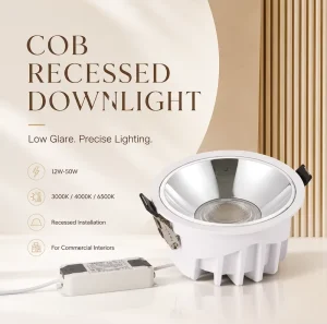 Commercial Modern Hotel 12W 50W Recessed LED Spotlight Ra90 Eaglerise Driver ADC12 Aluminum Heat Sink 24 Degree Beam Angle COB