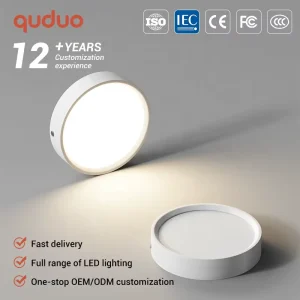 Commercial Office Hotel Home Villa Black White Iron 7W 12W 15W 24W Ceiling Surface Mounted LED Downlight