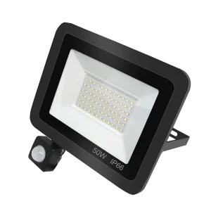 Commercial Outdoor IP66 Waterproof 30W 50W 100W LED Flood Lights Slim Portable SMD 2835 Floodlight