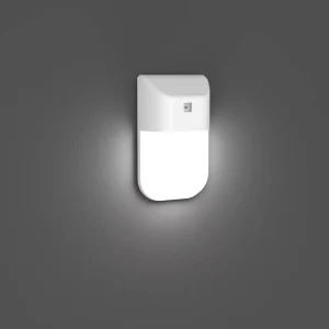 Commercial Outdoor Waterproof IP65 Aluminum PC Small Wall Pack Lights 80W 9600lm Ra80 PF0.9 LED Remote Dimmable