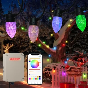 Commercial RGBW LED String Lights Outdoor DC24 36V Smart Vice Control IP65 Waterproof LED Music Light Bulb String