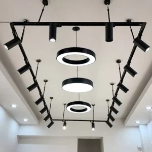 Commercial Rail Lamp Focus Cob 20W 30W Spot Lights Linear Spotlight System Led Track Housing for Gu10 Led Track Light