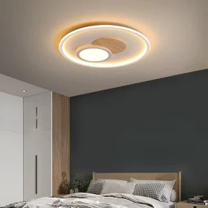 Creative Modern LED Ceiling Light Fixtures with Remote Control for Bedroom Living Room & Dining Iron Construction