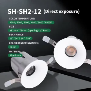Curved Surface 12W Ra92 High CRI Modular LED Downlight with Custom Trim Beam Angle Recessed LED Spotlight