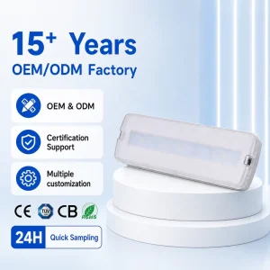 Custom Factory Direct Sale LED Emergency Light with Rechargeable Power Supply