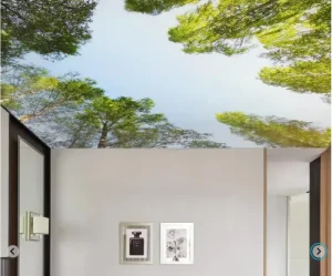 Custom Printed PVC Ceiling Light Boxes for Commercial Projects Solutions