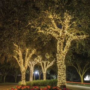 Custom Size IP44 Flexible PVC Warm Amber 2700K All Weather Commercial Street Garden Festival Celebration LED String Lights Quick