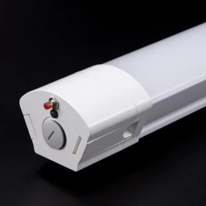 Custom Tri proof Linear Light IP65 150lm/W 170lm/W 190lm/W 120cm LED Tri proof Light with Emergency Battery