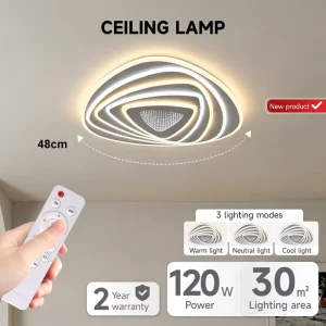 Customizable Modern Indoor Living Room Bedroom Smart Ceiling Lamp Acrylic 120W Remote Control Dimmable LED Ceiling Light