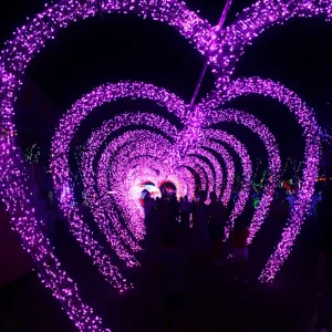 Customized 3D LED Lighting Christmas Decorative Arched Tunnel Lights for Outdoor Landscape Christmas Landscape