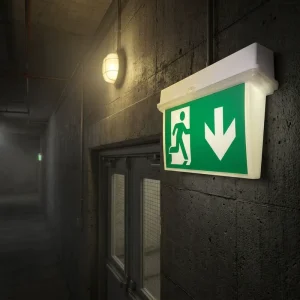Customized IP65 Rated Escape Exit Industrial Corridor Rechargeable LED Emergency Safety Light Sign with 3 Hours Backup