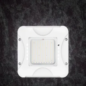 DLC Certified LED Outdoor Canopy Lamp Surface Mounted Ceiling LED Canopy Lights for Petrol Station
