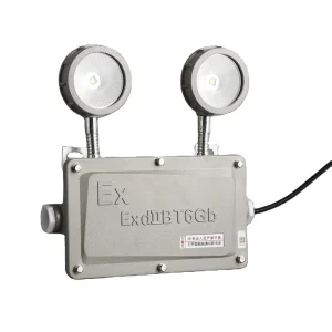 Double Head 3W Explosion proof Lighting Explosion Proof LED Emergency Light