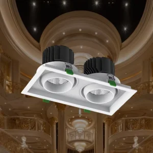 Double Headed Rotatable Grille Downlight for Supermarket Shelf Long Area Uniform Product Display Illumination