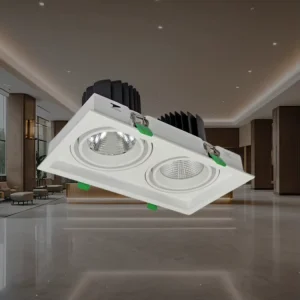 Dual Embedded Adjustable Grille Downlight for Private Gallery Pair Painting Wall Balanced Minimalist Ceiling Accent Light