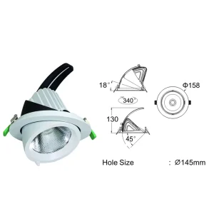 Dual Use Telescopic Eyeball Recessed Spotlight for Villa Living Room Fashion Boutique Interior Decor Accent Ceiling Lamp