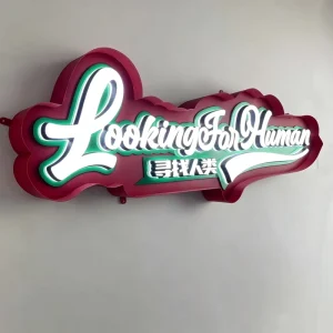 Durable Lighting Box Outdoor Acrylic Steel Light Box Sign LED Advertising Light Box Shop Sign
