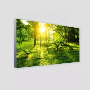 Dynamic Fabric LED Light Box Frame Eco Friendly Customizable Trade Show Advertising Display CE RoHS FCC Certified 5 Year