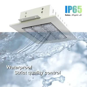 ETL CE SAA CB SASO IP65 Waterproof Garage Area Lighting 50W 100W 150W 200W 300W Warehouse Canopy Light Gas Station LED