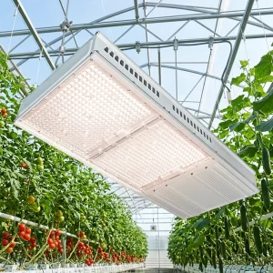 ETL DLC CE ROHS Indoor Supplemental Lighting Hydroponic Greenhouse LED Top Light 650W 800W 850W