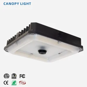 ETL Listed 80W 100W Gas Station LED Canopy Lights Surface Mounted with 5 Year Warranty IP65 for Warehouse Use