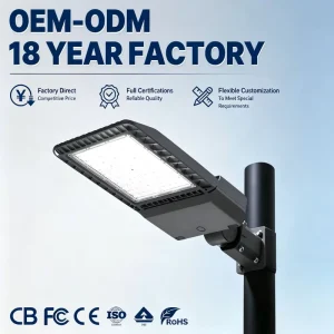 EU Popular Styles IP65 Rated AC DC Powered for LED Outdoor Parking Lot Road Lighting Commercial Adjustable Angle Street Lamp