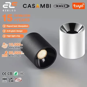 EZELED Adjustable Angle IP20 Ceiling Home Down Light 12W 15W 20W 30W Down Lamp LED