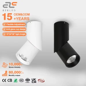 EZELED China Supplier Intelligent Remote Control 12 Watt Custom Indoor Dimmable Ceiling LED Spotlights
