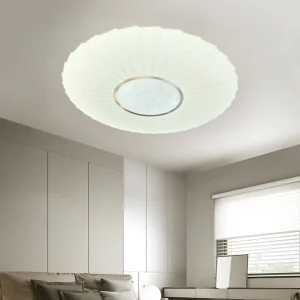Elegant Surface Mounted Led Ceiling Lamp for Home Lighting Solutions