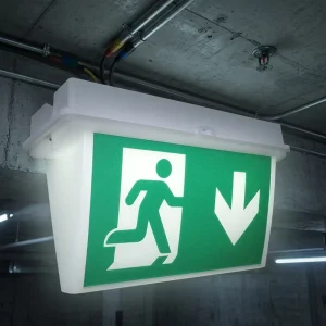 Emergency Exit Sign Light IP65 LED 100LM Auto Test with 3H Emergency Lighting