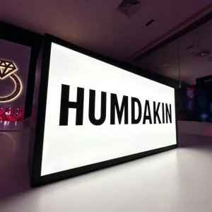 Energy Saving LED Advertising Light Box Stainless Steel LED Light Box Sign Custom Outdoor Sign for Shop Front Branding