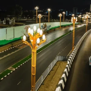 Ethiopia Smart City Project Golden Multi Headed Magnolia Street Light in Addis Ababa Landscape Lighting