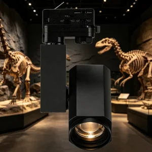 Expert LED Track Spotlight with Electric Remote Dimming Color Adjustment and Focus Control for Exhibit Cabinet Lighting