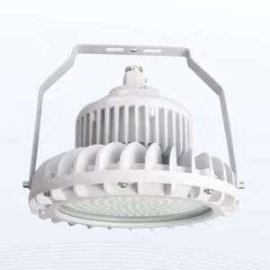 Explosion Proof Flood Light Explosion Proof High Bay LED Light IP66 for Chemical Plants Aluminum Multi Mount