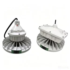 Explosion Proof Industrial Mining Light HM8001 30W 400W