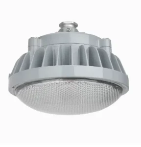 Explosion Proof LED Flood Light Indoor Canopy Warehouse Lamp