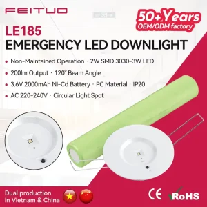 FEITUO Premium Emergency LED Down Light for USA Market With 3 Hour Backup Commercial Building Lighting Vietnam Manufacturing OEM